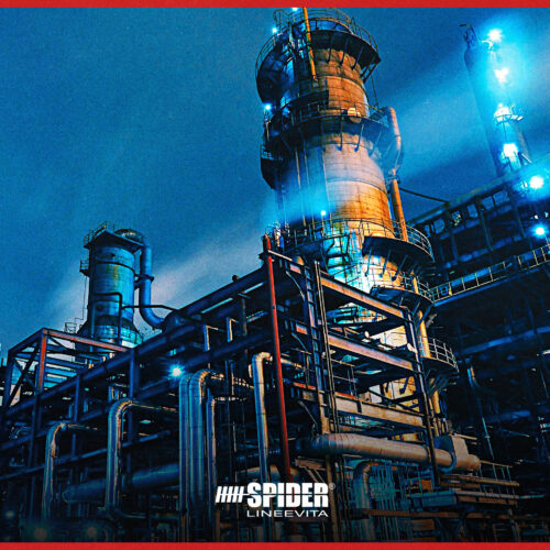 innovazione-e-sicurezza-dei-sistemi-anti-caduta-Lineevita