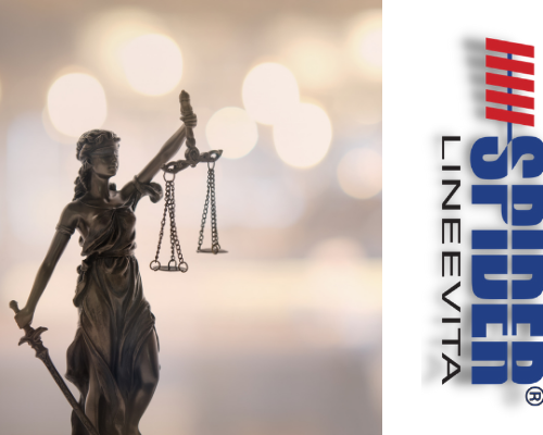 guida-per-naviganti-tra-ruoli-e-responsabilita-Lineevita