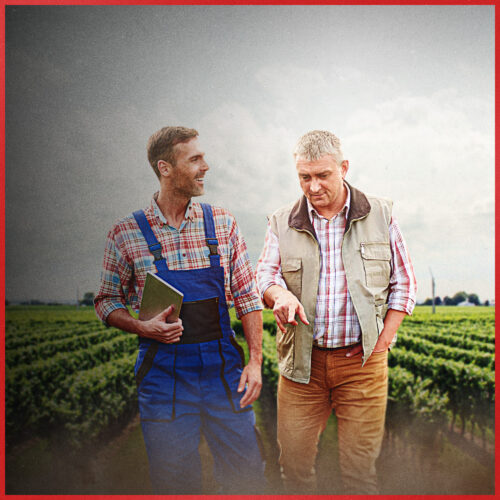 rischi-e-sicurezza-sul-lavoro-per-unazienda-agricola-Lineevita