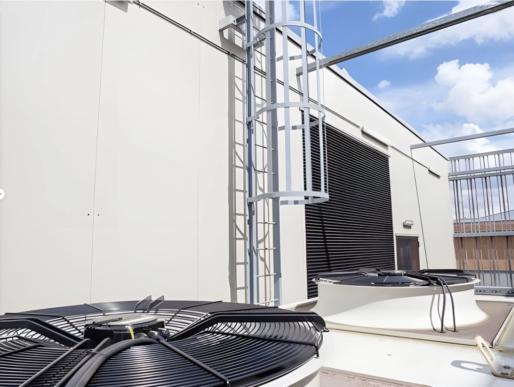 linee-vita-la-guida-completa-Lineevita