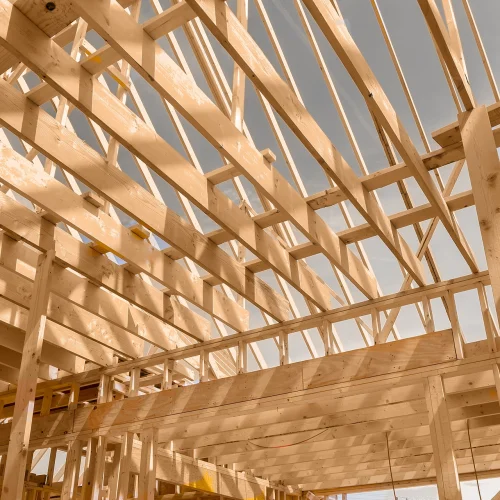 wood-roof-lifelines-Lineevita