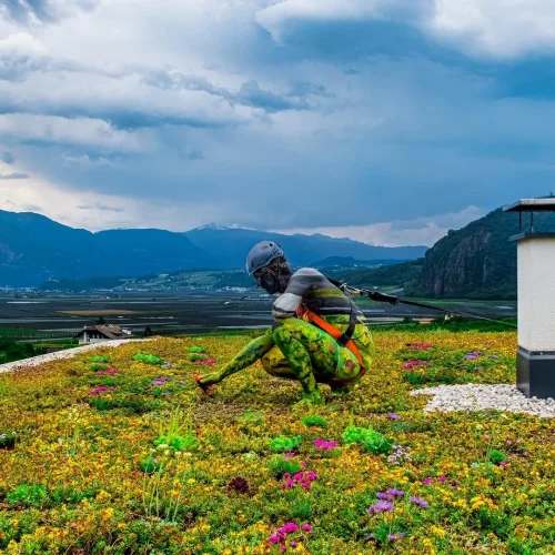 tetto-verde-Lineevita